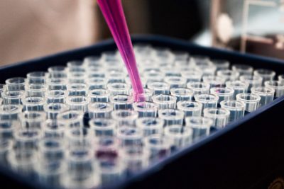 a person pouring a pink liquid into a row of test tubes.