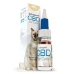 a bottle of cbd for cats sitting next to a box.