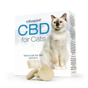 a box of cbd for cats with a cat next to it.