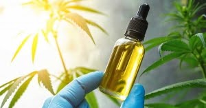 CBD oil from the hemp plant